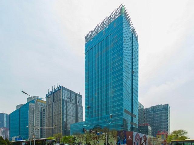 师宗常规食用菌销售价格